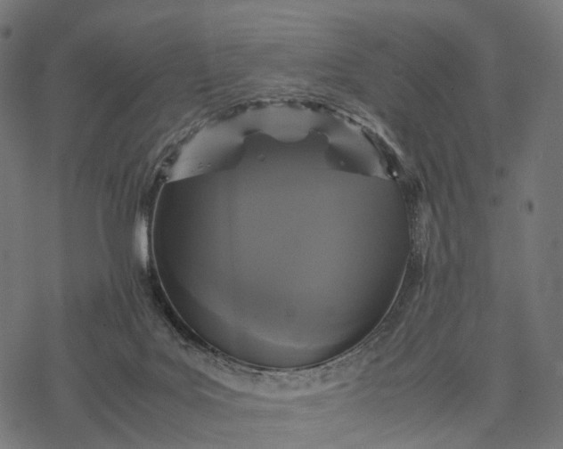 X0000077290027200611031601