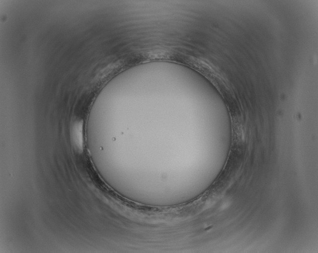 X0000077290028200611031601