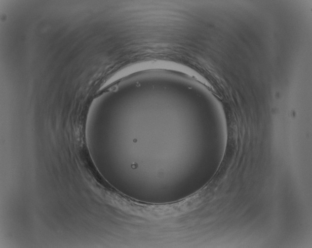 X0000077290031200611031601