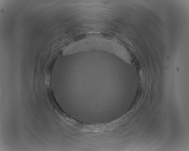 X0000077290033200611031601