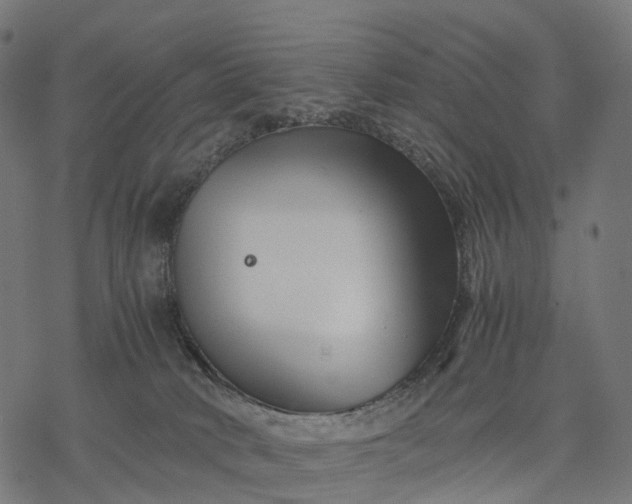 X0000077290034200611031601