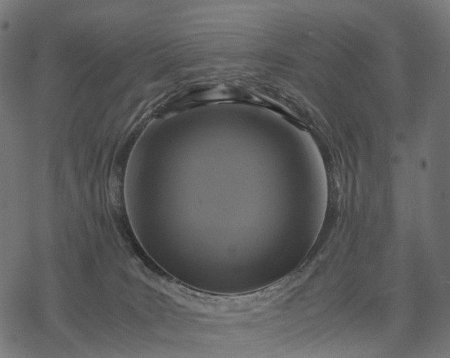 X0000077290035200611031601