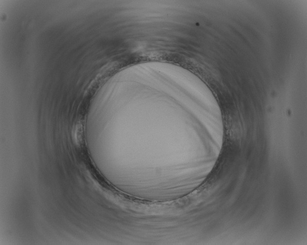 X0000077290036200611031601