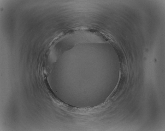 X0000077290037200611031601