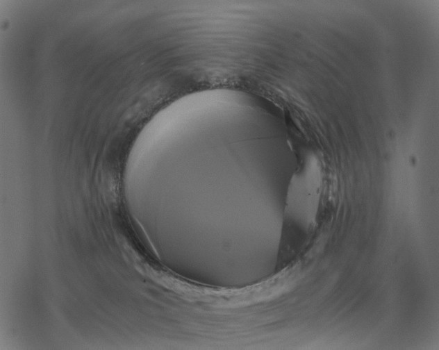 X0000077290039200611031601