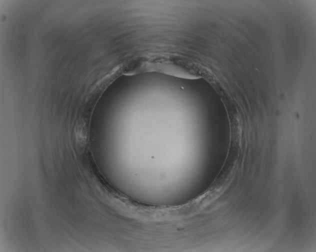 X0000077290040200611031601