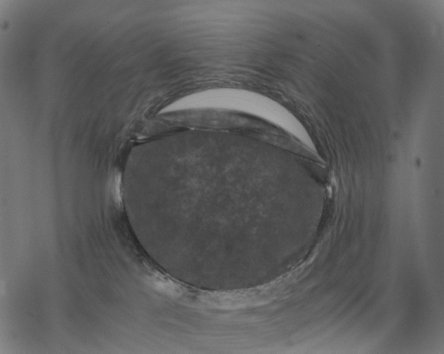 X0000077290041200611031601