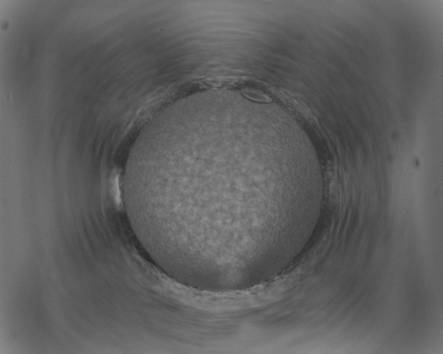 X0000077290042200611031601