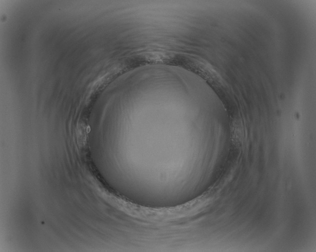 X0000077290043200611031601