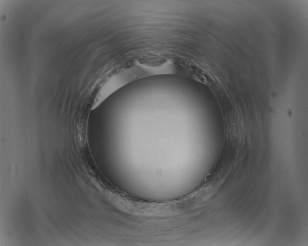 X0000077290044200611031601