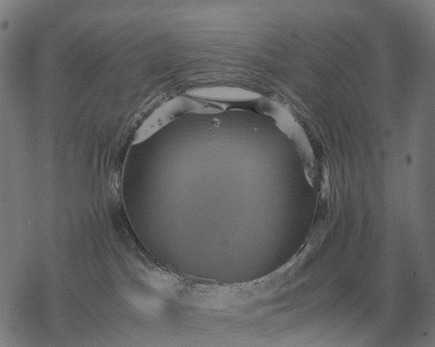 X0000077290045200611031601