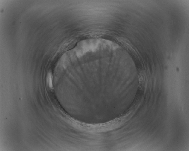 X0000077290046200611031601