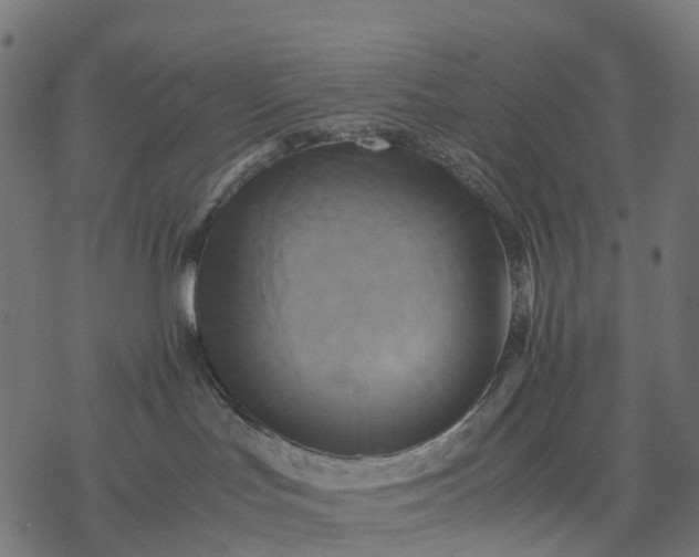 X0000077290047200611031601