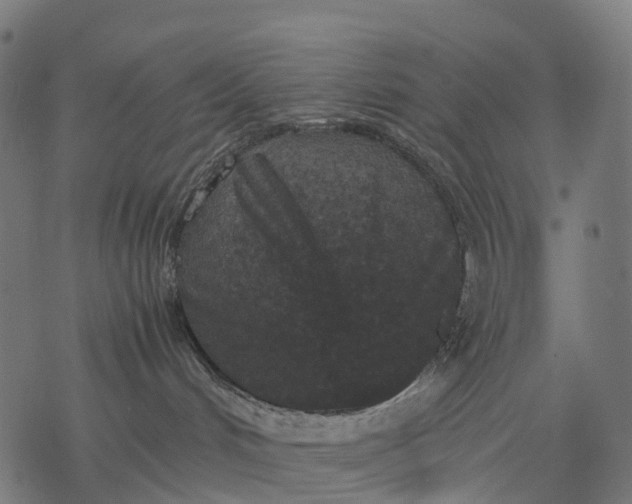 X0000077290048200611031601