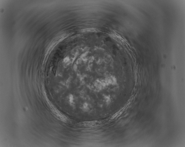 X0000077290049200611031600