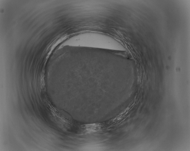 X0000077290050200611031600