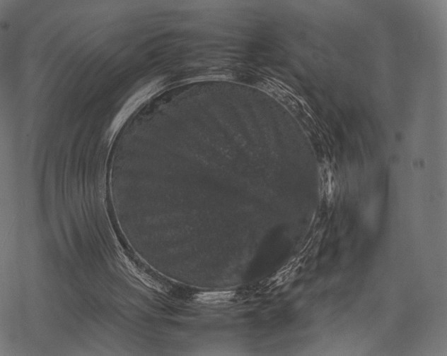 X0000077290051200611031600