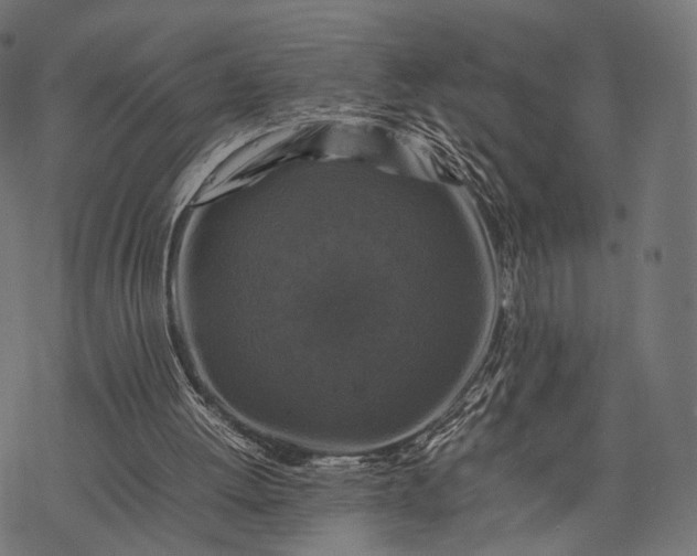 X0000077290052200611031600