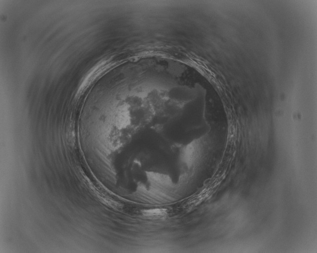 X0000077290053200611031600