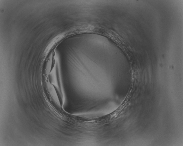 X0000077290054200611031600