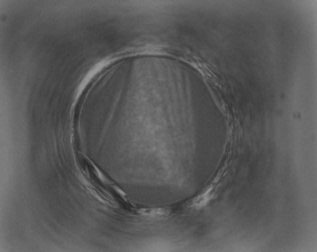 X0000077290056200611031600