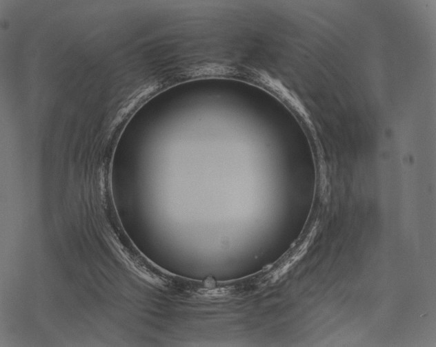 X0000077290057200611031600