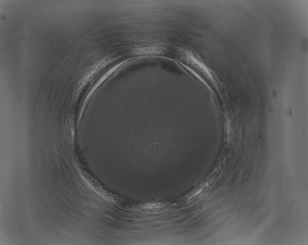 X0000077290059200611031600