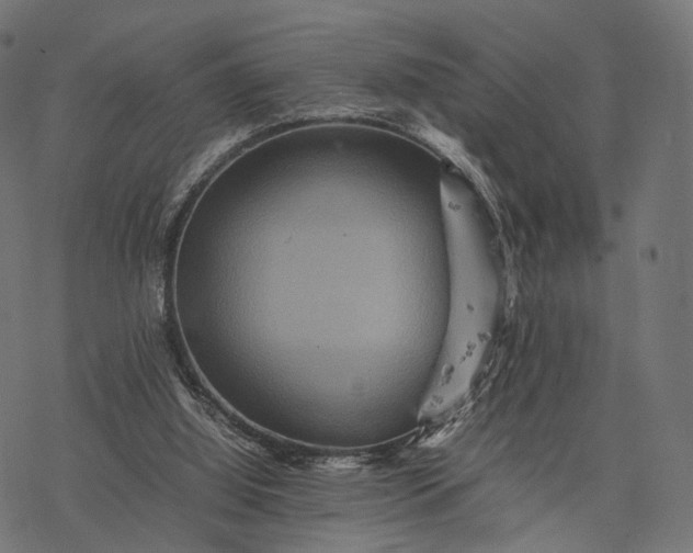 X0000077290060200611031600