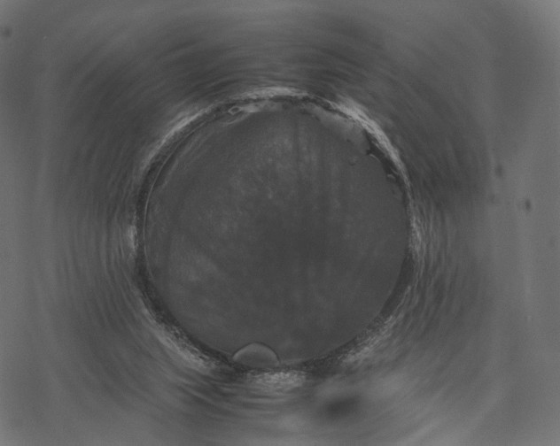 X0000077290063200611031600