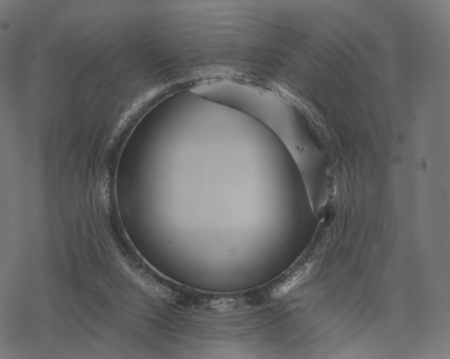 X0000077290064200611031600