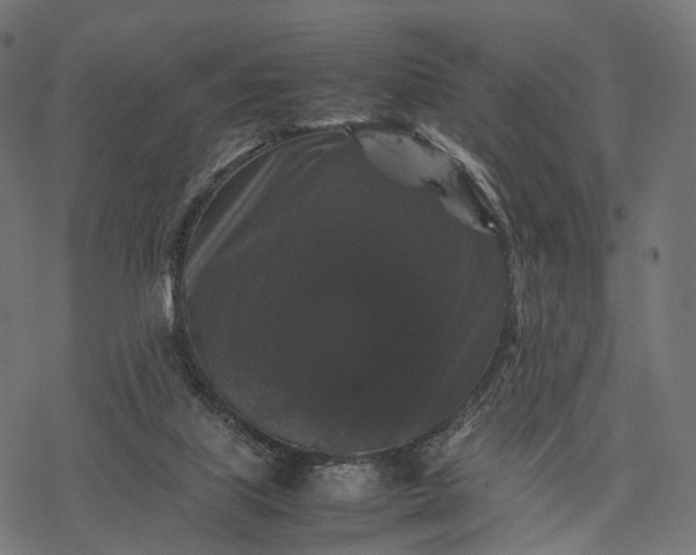 X0000077290067200611031601