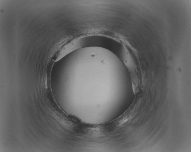 X0000077290068200611031601