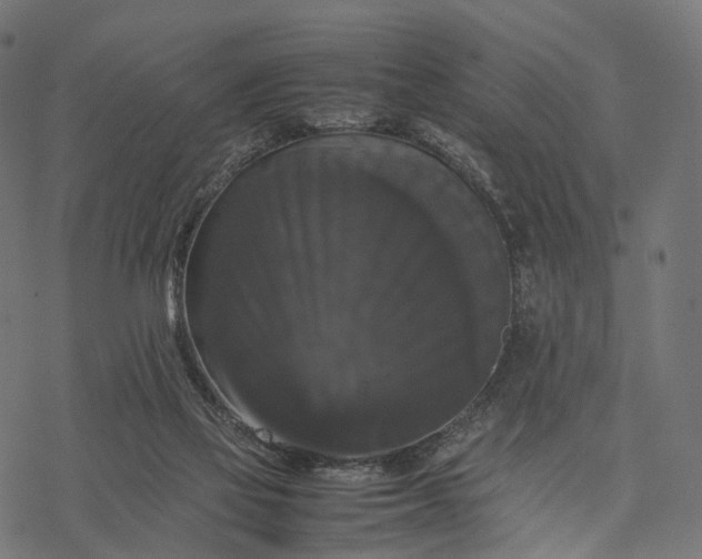 X0000077290069200611031601