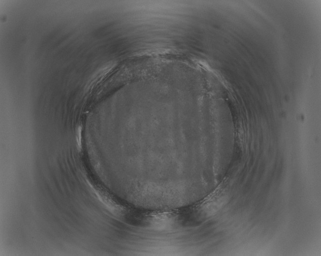 X0000077290070200611031601