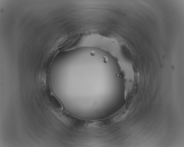 X0000077290072200611031601