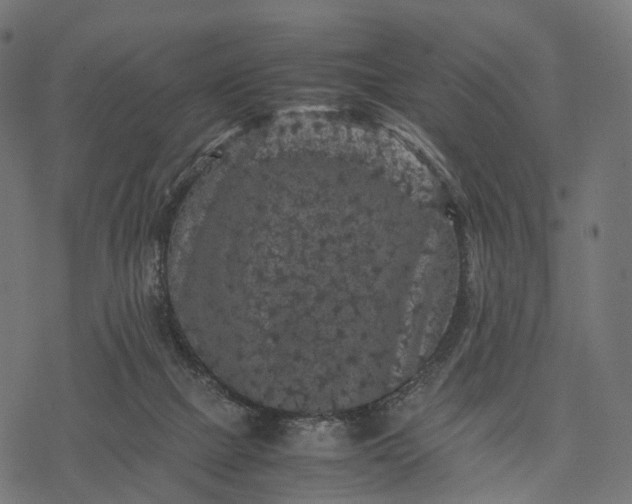 X0000077290073200611031601