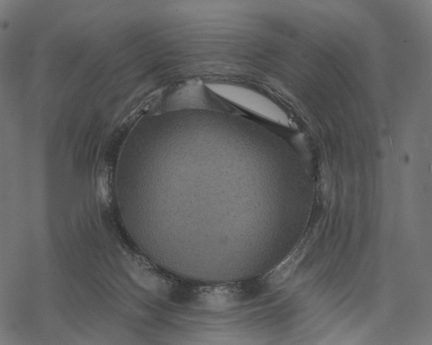 X0000077290074200611031601