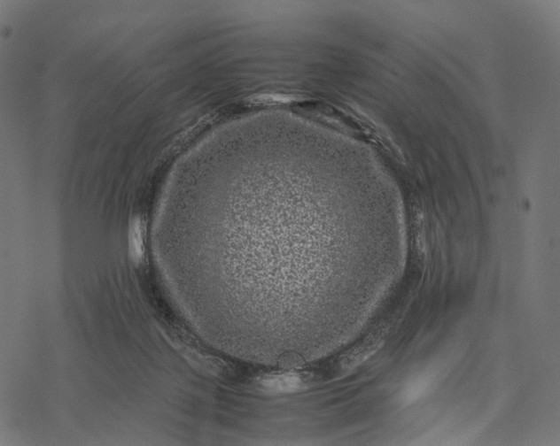 X0000077290075200611031601