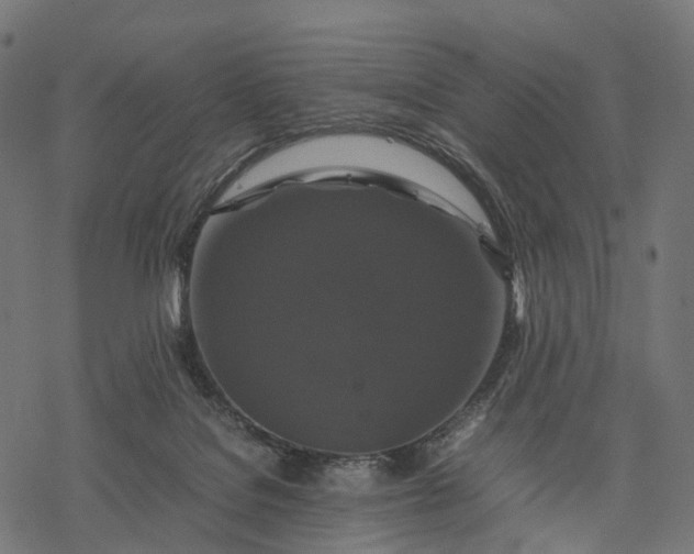 X0000077290076200611031601