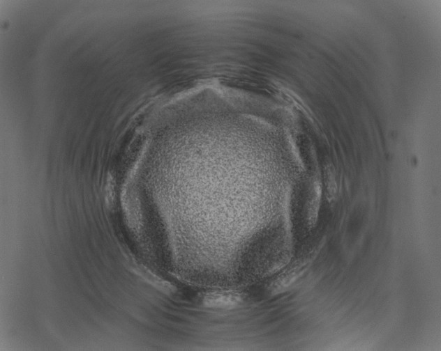 X0000077290077200611031601