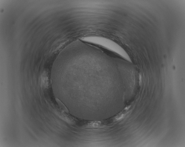 X0000077290080200611031601