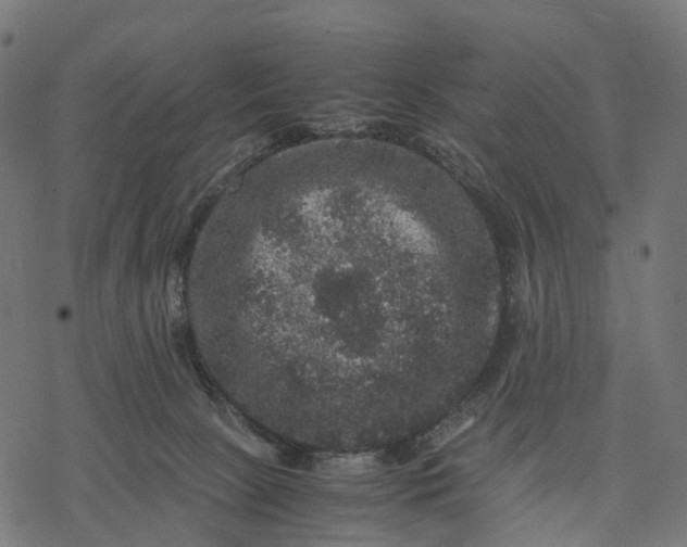 X0000077290081200611031601