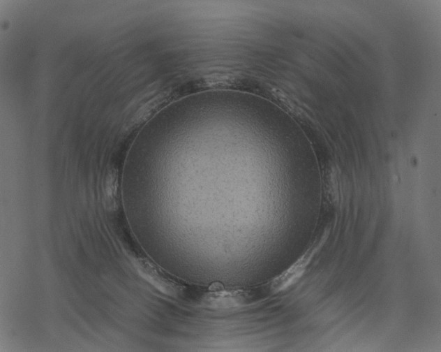 X0000077290082200611031601