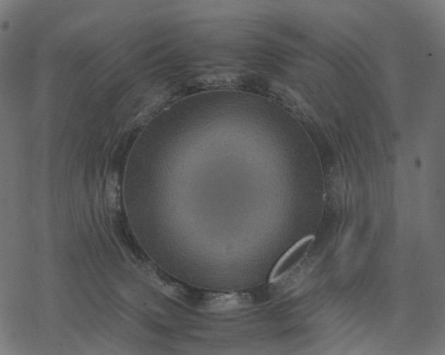 X0000077290083200611031601