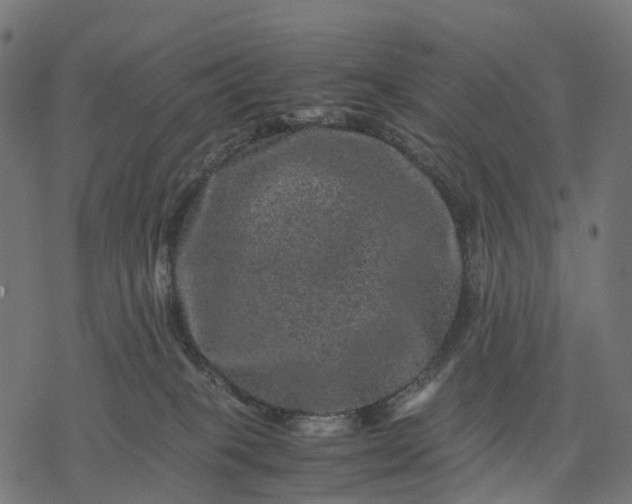 X0000077290085200611031601