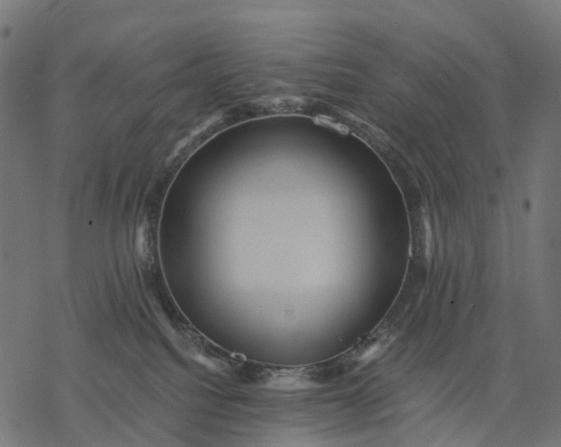 X0000077290088200611031601