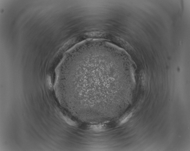 X0000077290089200611031601