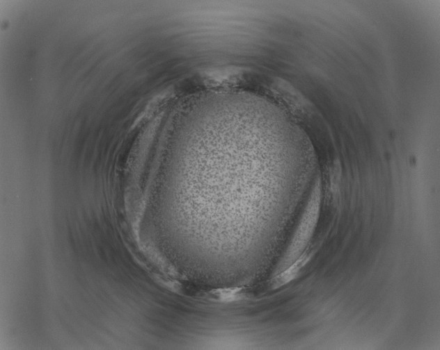 X0000077290090200611031601