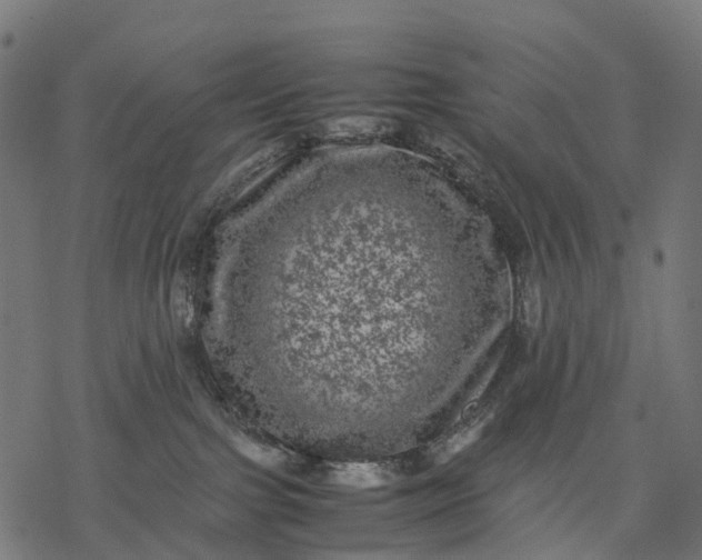 X0000077290091200611031601