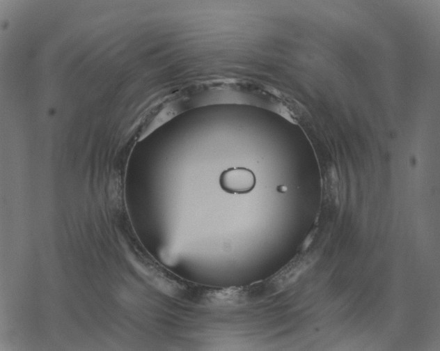 X0000077290092200611031601